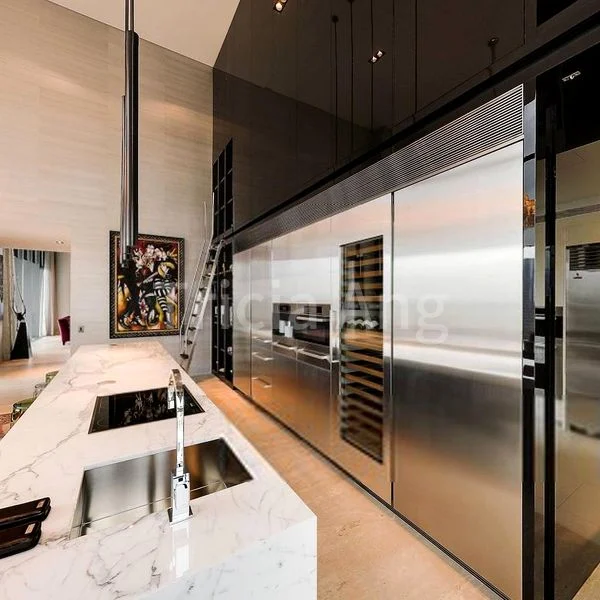 4 Bed Condo for Sale in  The Marq On Paterson Hill - Image 2