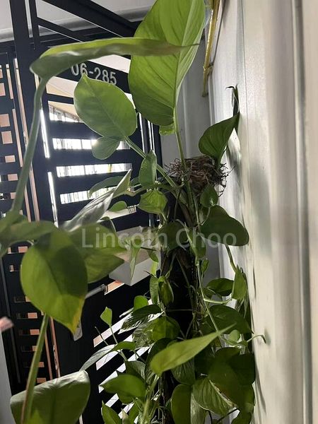 5 Room (5A) HDB for Sale in  419 Pasir Ris Drive 6 - Image 12