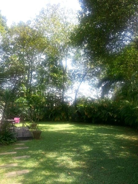 3+1 Bed Bungalow (Landed) for Rent in  Kingsmead Road - Image 11