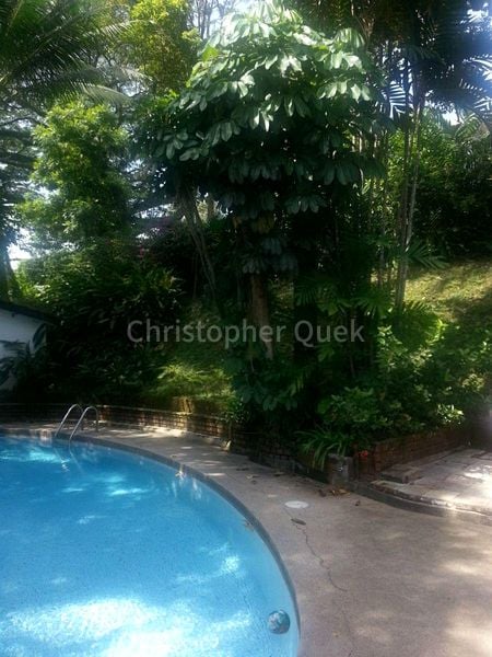 3+1 Bed Bungalow (Landed) for Rent in  Kingsmead Road - Image 10