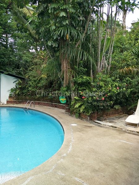 3+1 Bed Bungalow (Landed) for Rent in  Kingsmead Road - Image 12
