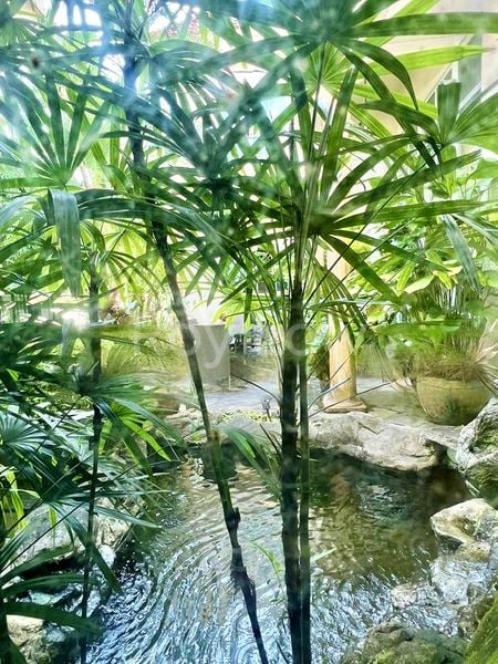 5 Bed Bungalow (Landed) for Sale in  Dunearn Estate - Image 4