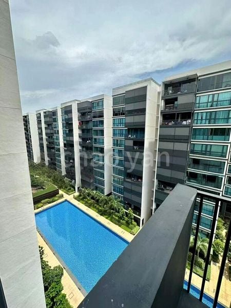 Common Room (Condo) for Rent in  Treasure at Tampines - Image 5