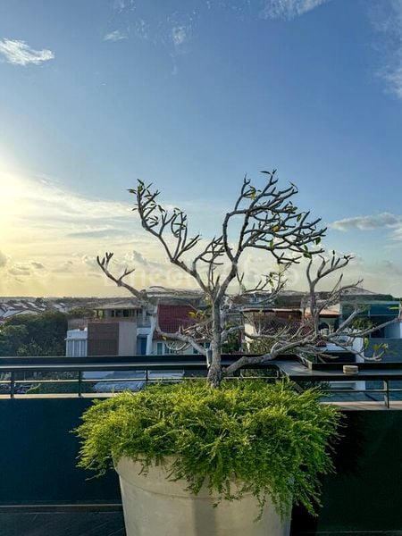 7+1 Bed Bungalow (Landed) for Sale in  Begonia Road - Image 11