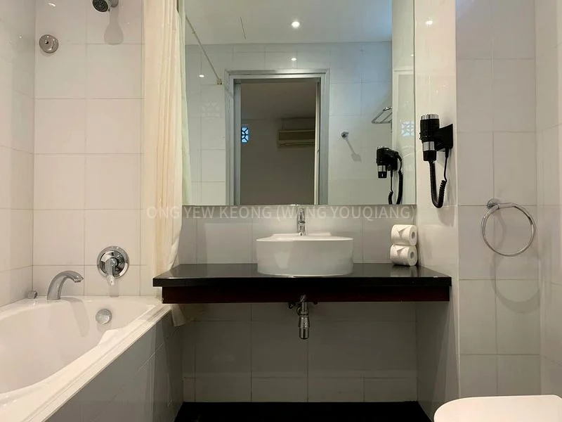 Master Room (Condo) for Rent in  Upper Cross Street - Image 4