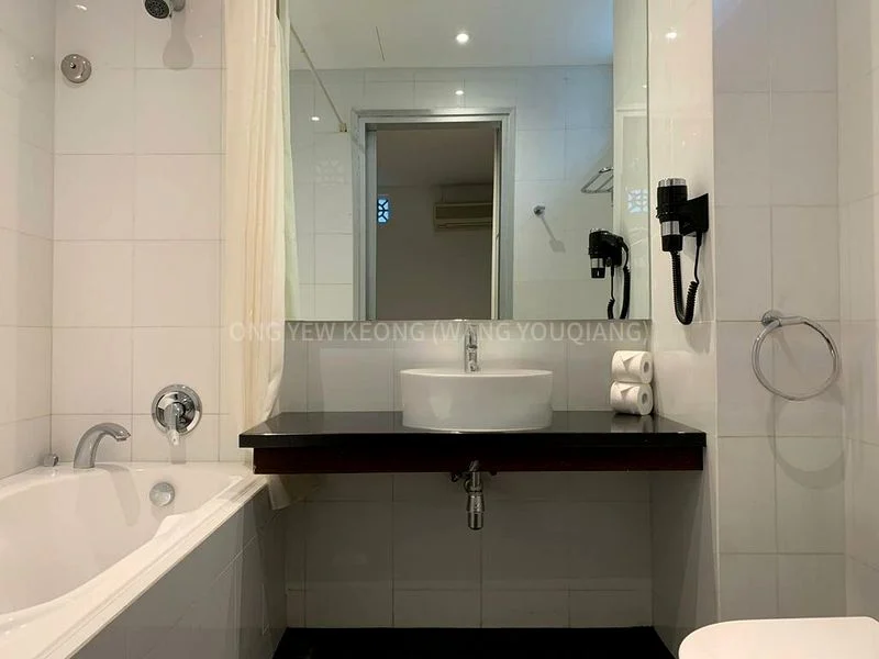 Master Room (Condo) for Rent in  Upper Cross Street - Image 14