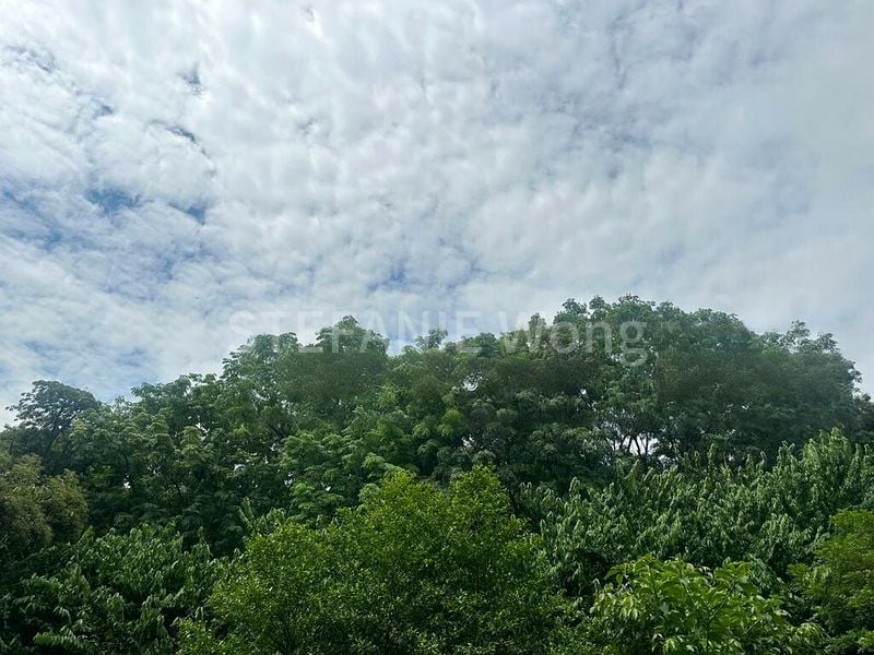 4 Bed Semi-Detached House (Landed) for Sale in Cold Storage Jelita - Image 1