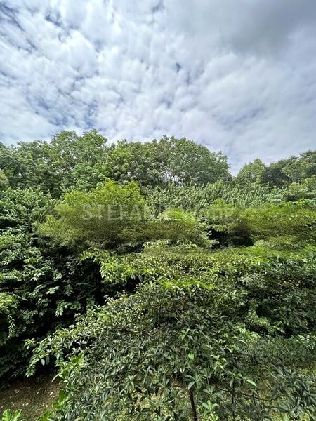 4 Bed Semi-Detached House (Landed) for Sale in Cold Storage Jelita - Image 2