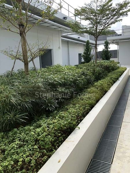 Light Industrial (B1) for Rent: Proxima @ Gambas - Image 1