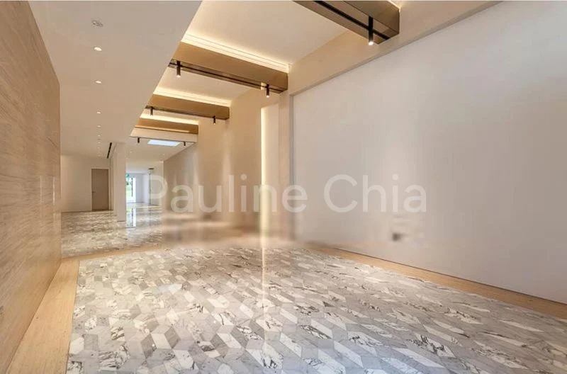 Shop / Shophouse for Sale in  Bukit Pasoh Conservation Area - Image 6