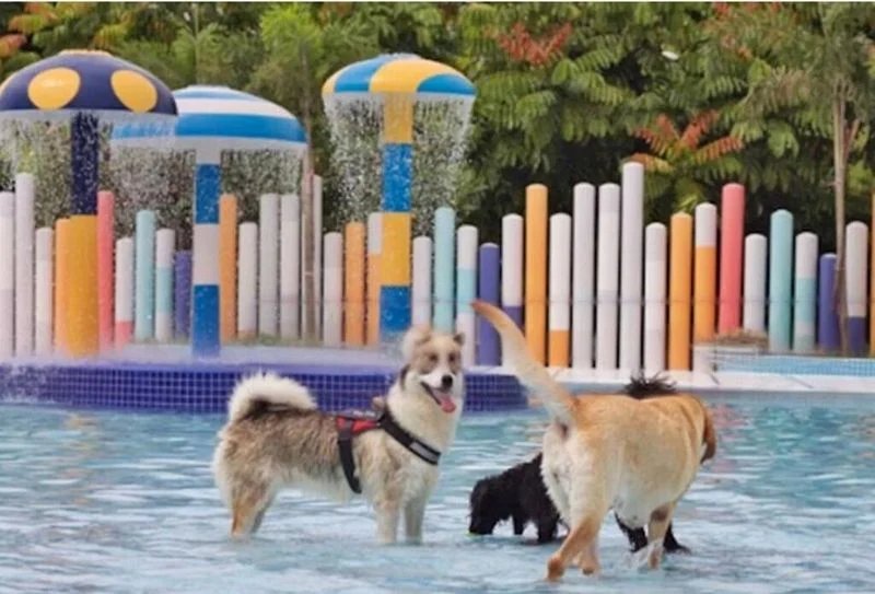 Other Retail for Rent: Jurong Gateway Road - Image 4