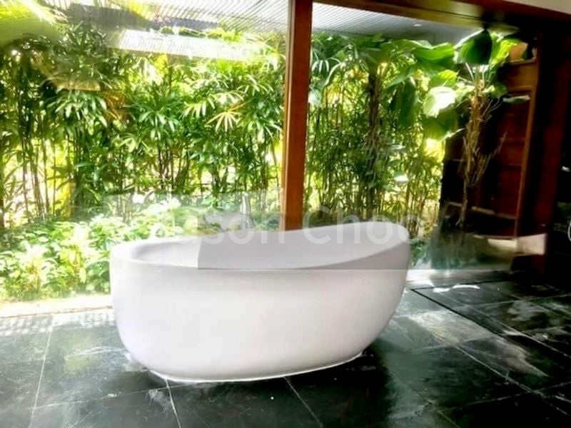 6 Bed Bungalow (Landed) for Rent in  Cluny Park Residence - Image 2