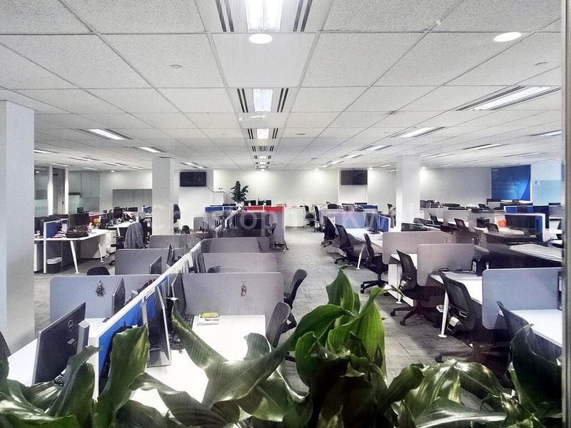 Office for Rent: 135 Cecil Street - Image 4