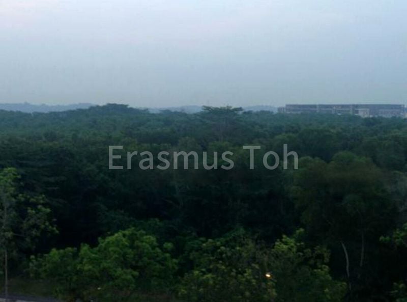 Executive HDB for Rent in 238 Pasir Ris Street 21 - Image 2