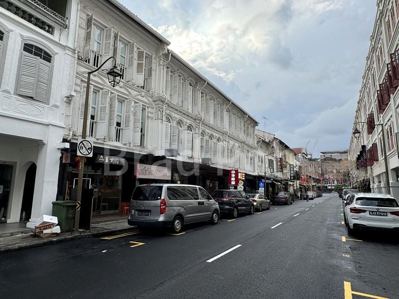 Shop / Shophouse for Sale: Mosque Street Commercial Property - Image 2