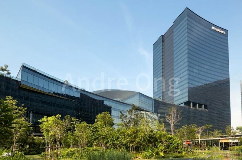 e-Business for Rent: Mapletree Business City - Image 3