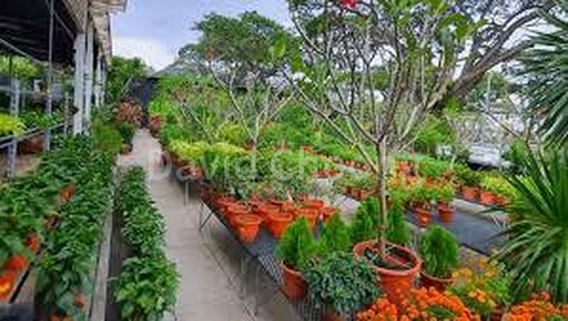 7 Bed Bungalow (Landed) for Sale in  Caldecott Hill Estate - Image 1