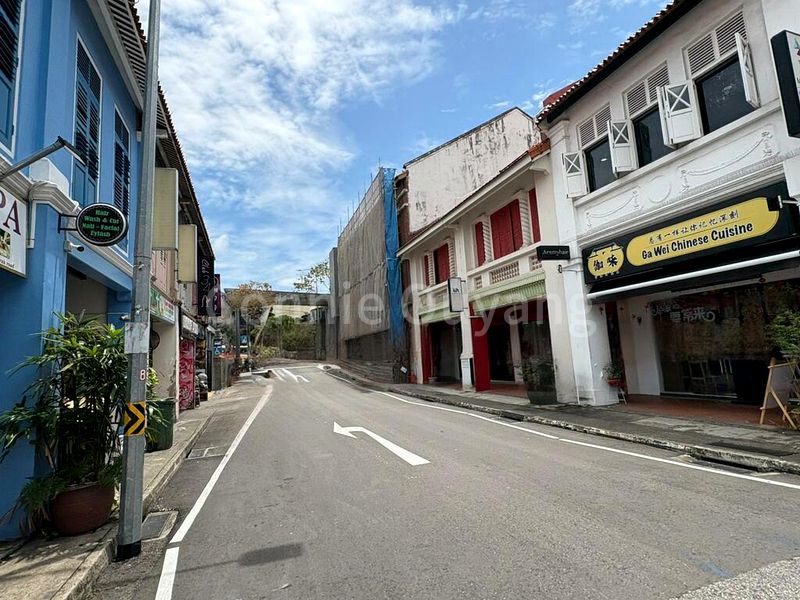 Shop / Shophouse for Sale: Perak Road, 3 by 2.5 Storey Shophouse - Image 2