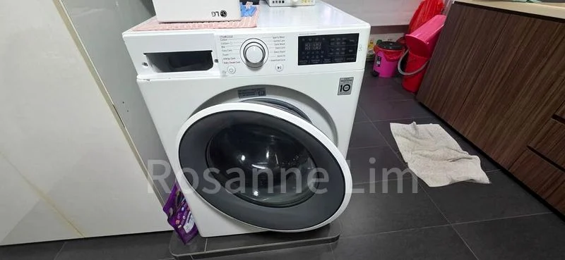 Common Room (HDB) for Rent in  263 Boon Lay Drive - Image 2