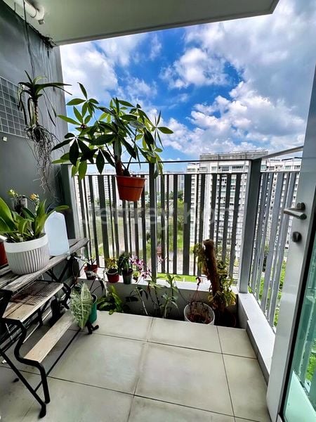 Premium HDB for Sale in  270A Punggol Field - Image 3