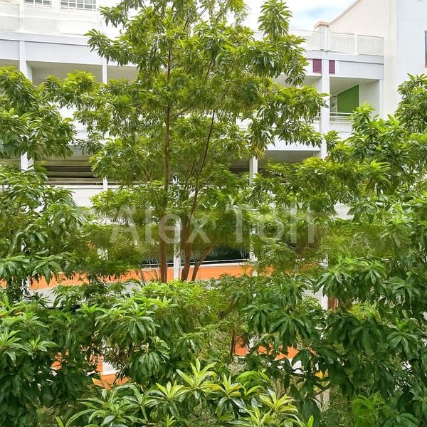 Common Room (HDB) for Rent in  476 Sembawang Drive - Image 4