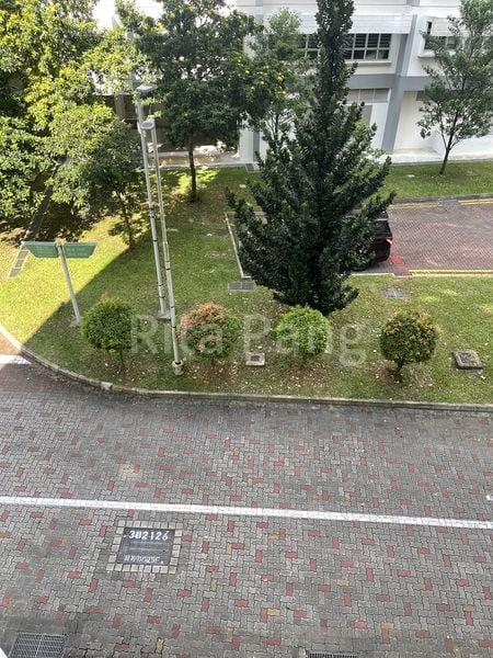 Common Room (HDB) for Rent in  979 Jurong West Street 93 - Image 2