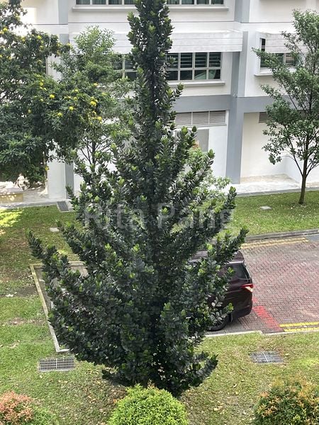 Common Room (HDB) for Rent in  979 Jurong West Street 93 - Image 1