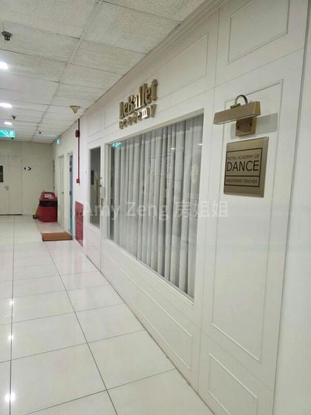 Shop / Shophouse for Sale: Holland Road Shopping Centre - Image 3