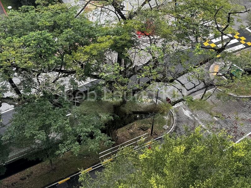 3 Room (3A) HDB for Sale in  339C Kang Ching Road - Image 1