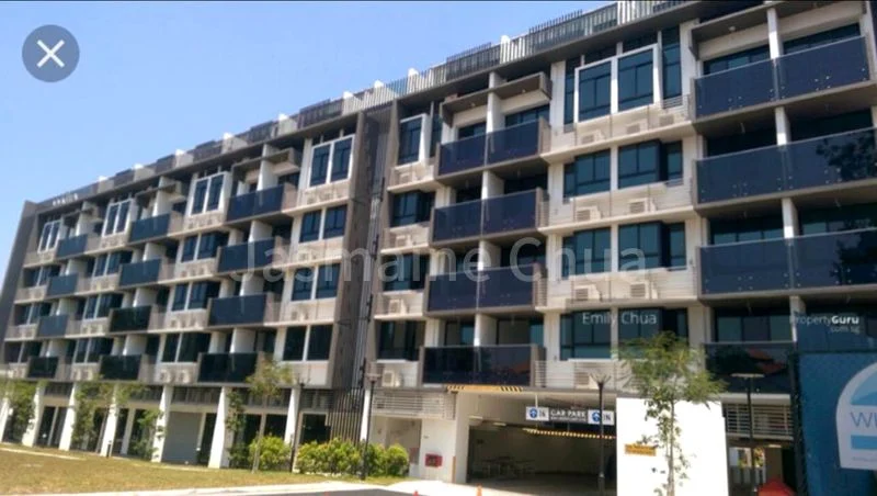 Viva Vista - Image 6