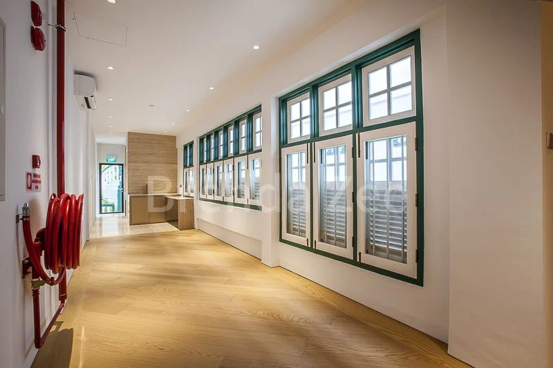 Shop / Shophouse for Sale: Teo Hong Road ✧ Freehold Conservation Shophouse ✧ Central District - Image 7