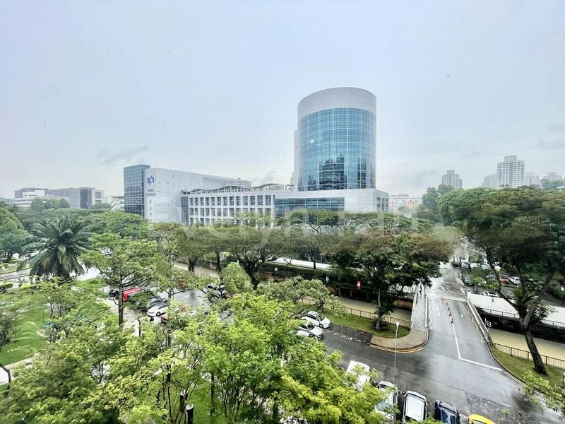 3 Room (3I) HDB for Rent in  203 Toa Payoh North - Image 13