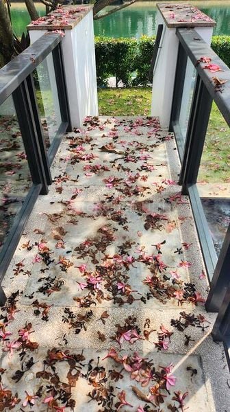 5 Bed Bungalow (Landed) for Rent in  The Reef At King's Dock - Image 10