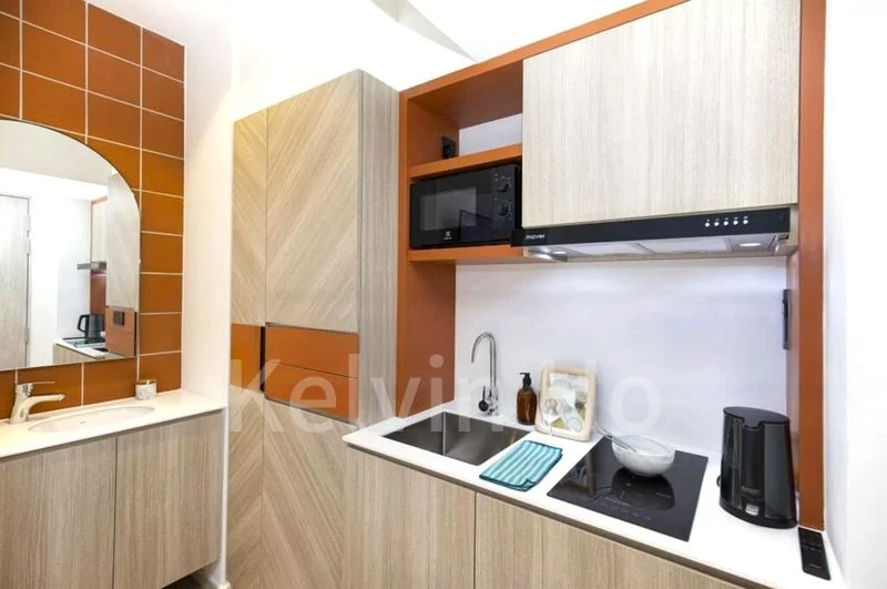 Master Room (Condo) for Rent in  Serangoon Road - Image 4