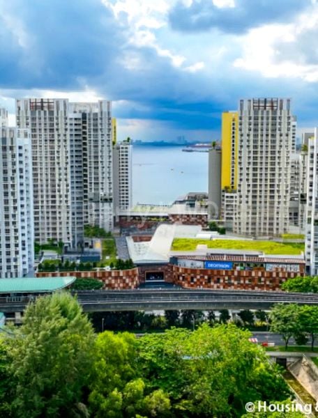 Common Room (HDB) for Rent in  420A Northshore Drive - Image 11