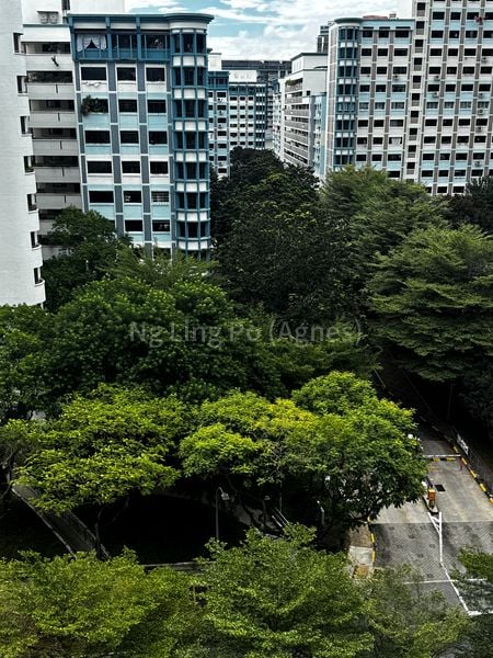 Master Room (HDB) for Rent in  110 Yishun Ring Road - Image 3