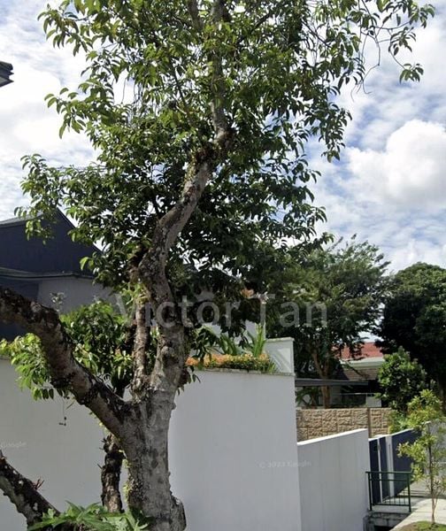 5 Bed Bungalow (Landed) for Sale in  Swiss Club Park - Image 3