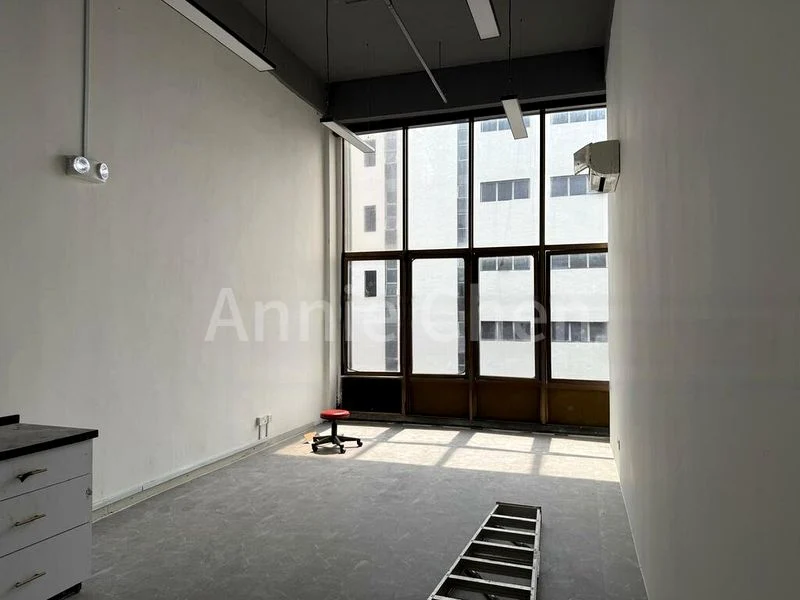 Light Industrial (B1) for Rent: Sindo Industrial Building - Image 1