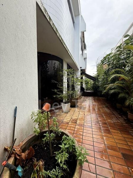 4 Bed Semi-Detached House (Landed) for Rent in Springleaf Garden Estate - Image 7