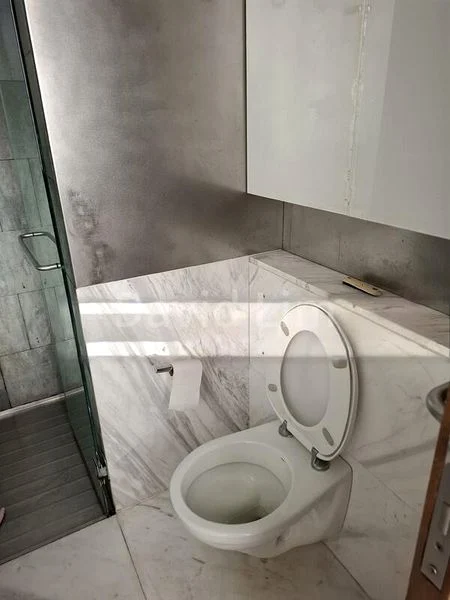 3 Bed Apartment (Condo) for Rent in  1 Moulmein Rise - Image 17