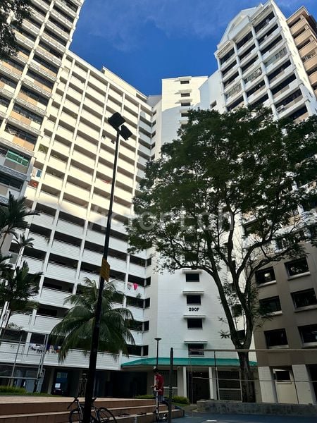 Common Room (HDB) for Rent in  290F Bukit Batok Street 24 - Image 3