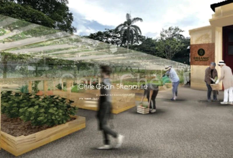 Other Retail for Rent: RETAIL / FITNESS / OFFICE @ UPPER BUKIT TIMAH - Image 4