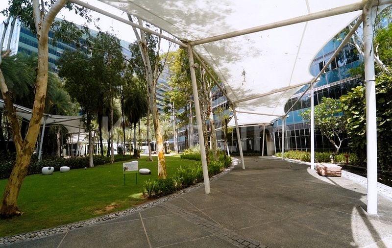 3 Bed Condo for Rent in  Orchard Scotts - Image 13