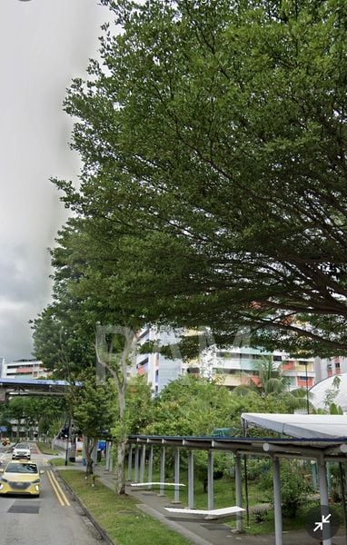 Master Room (HDB) for Rent in 719 Yishun Street 71 - Image 9