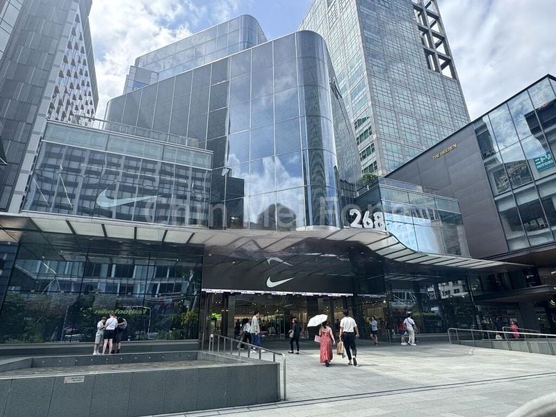 Other Retail for Rent: 268 Orchard Road - Image 1