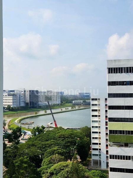 5 Room (5STD) HDB for Rent in  413 Pandan Gardens - Image 10