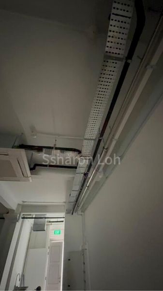 Food & Beverage for Rent: Rowell Road Shop - Image 7