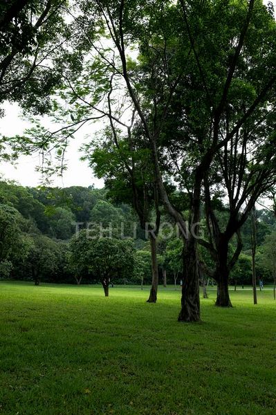 3 Bed Semi-Detached House (Landed) for Sale in  Elite Terrace - Image 2