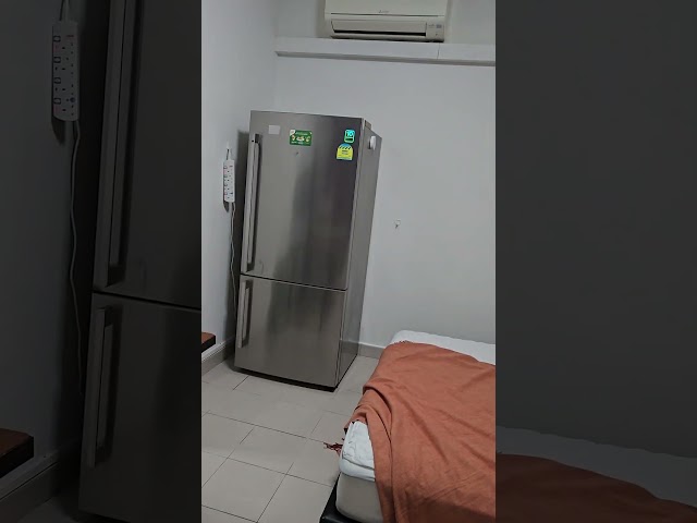 Studio Townhouse (Landed) for Rent in 63 Wishart Road - Image 30