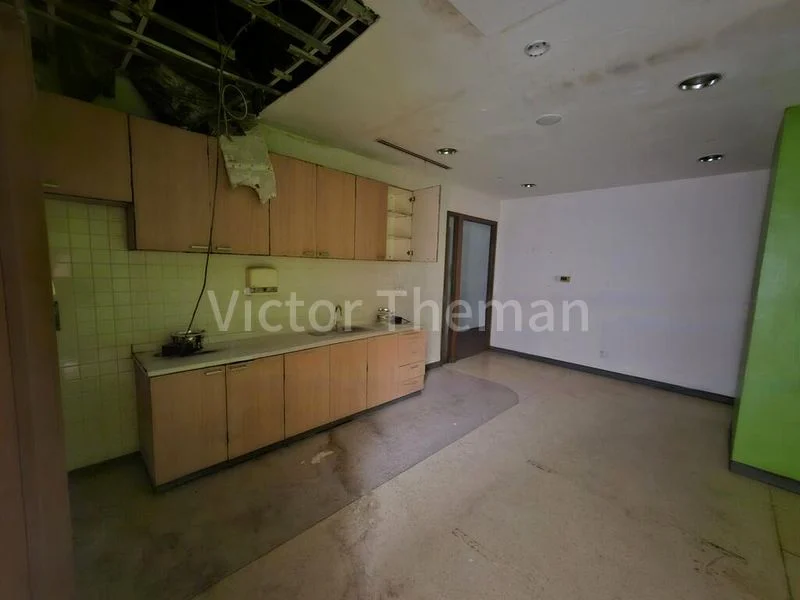 The Capricorn: 1 Shop in a Prime Complex on Main Street - Image 2